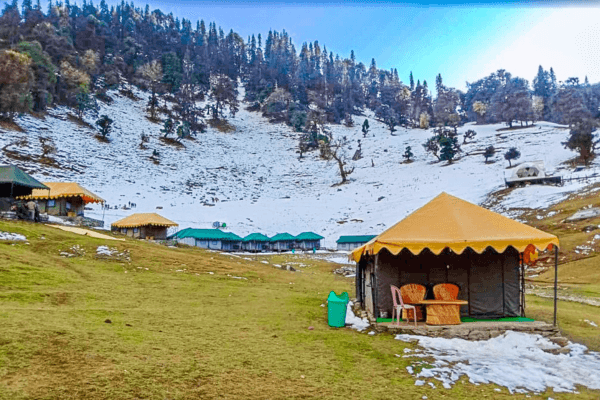 Chopta Travel Guide – Explore the Mini Switzerland of India