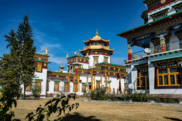 Dehradun Travel Guide – Explore the Gateway to the Hills