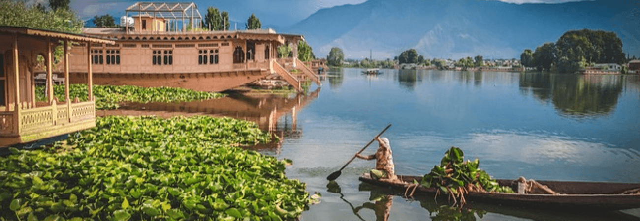Srinagar Tour Packages promotional banner