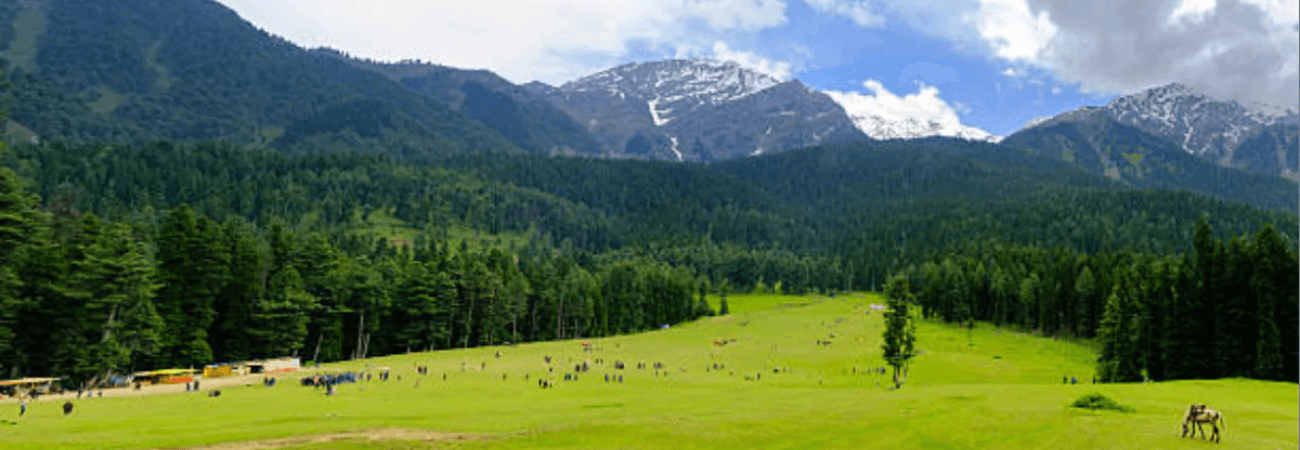 Pahalgam Tour Packages promotional banner