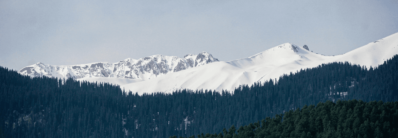 Gulmarg Tour Packages promotional banner