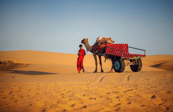 Rajasthan Tour Packages promotional banner