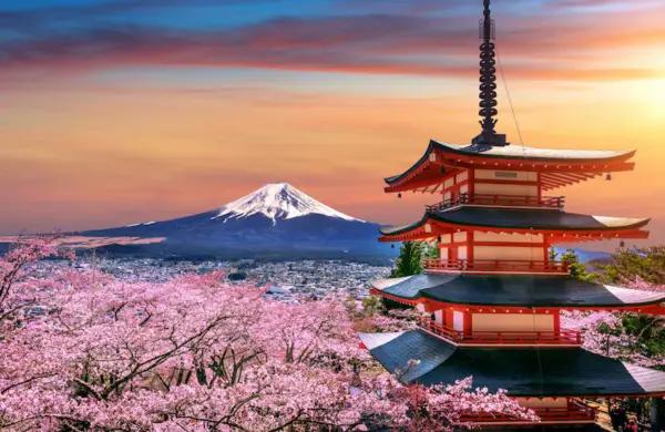 Japan Tour Packages promotional banner