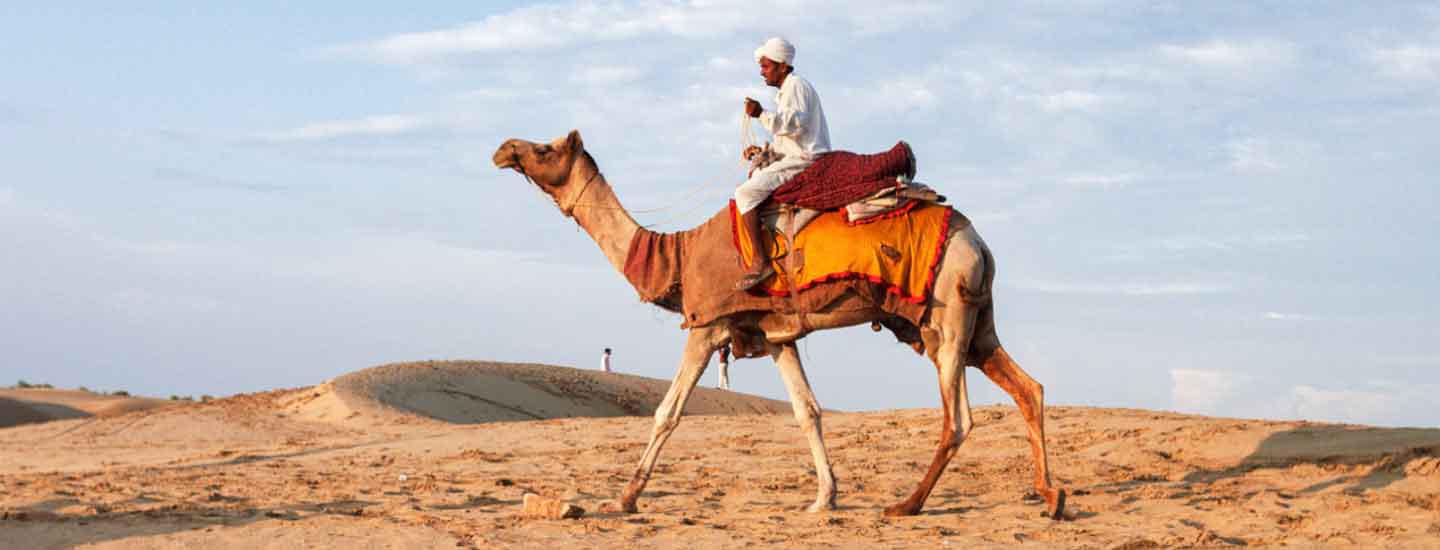 Privacy policy - BizareXpedition data protection