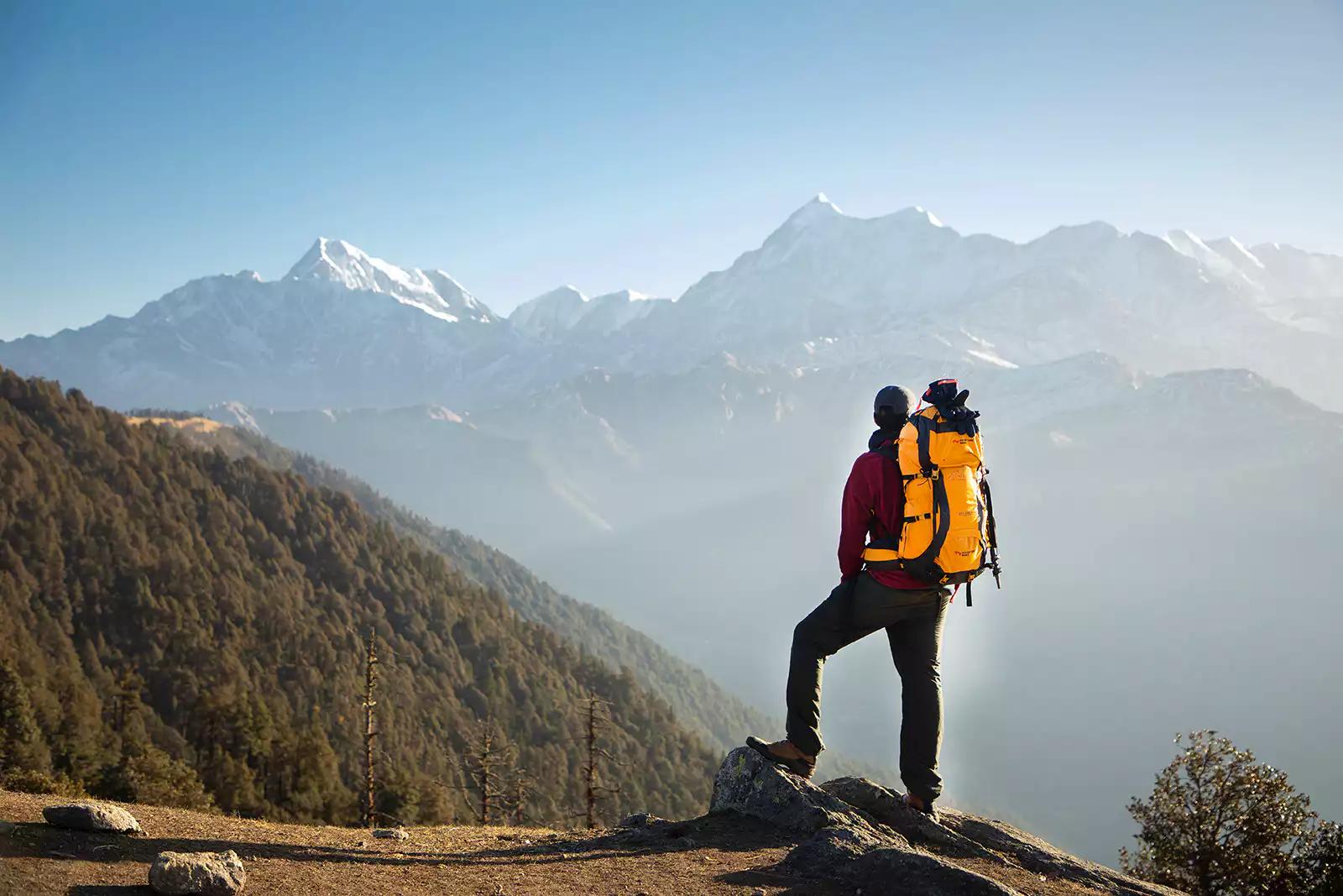 Terms and Conditions