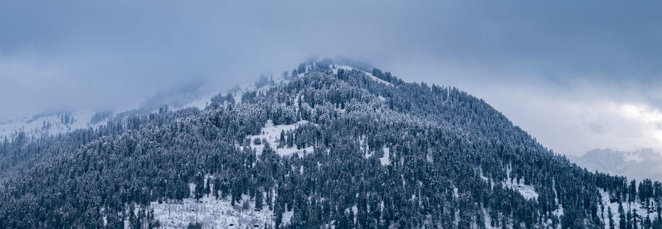 Manali Tour Packages promotional banner